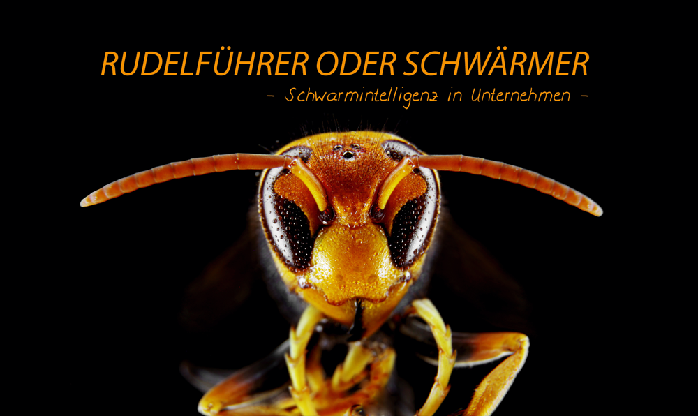 SCHWARMINTELLIGENZ IN UNTERNEHMEN