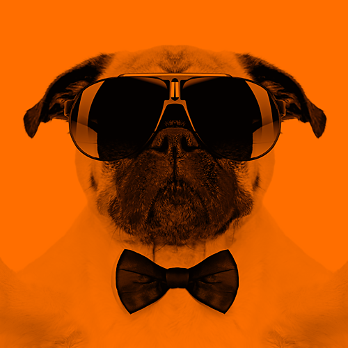 361 GRAD DIGITAL GmbH