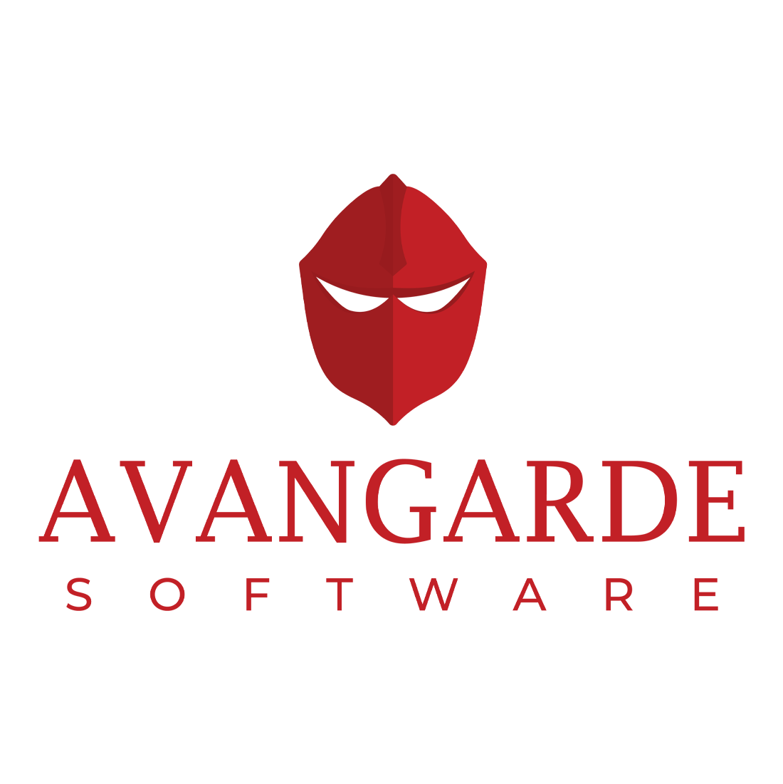 Avangarde Software Solutions 